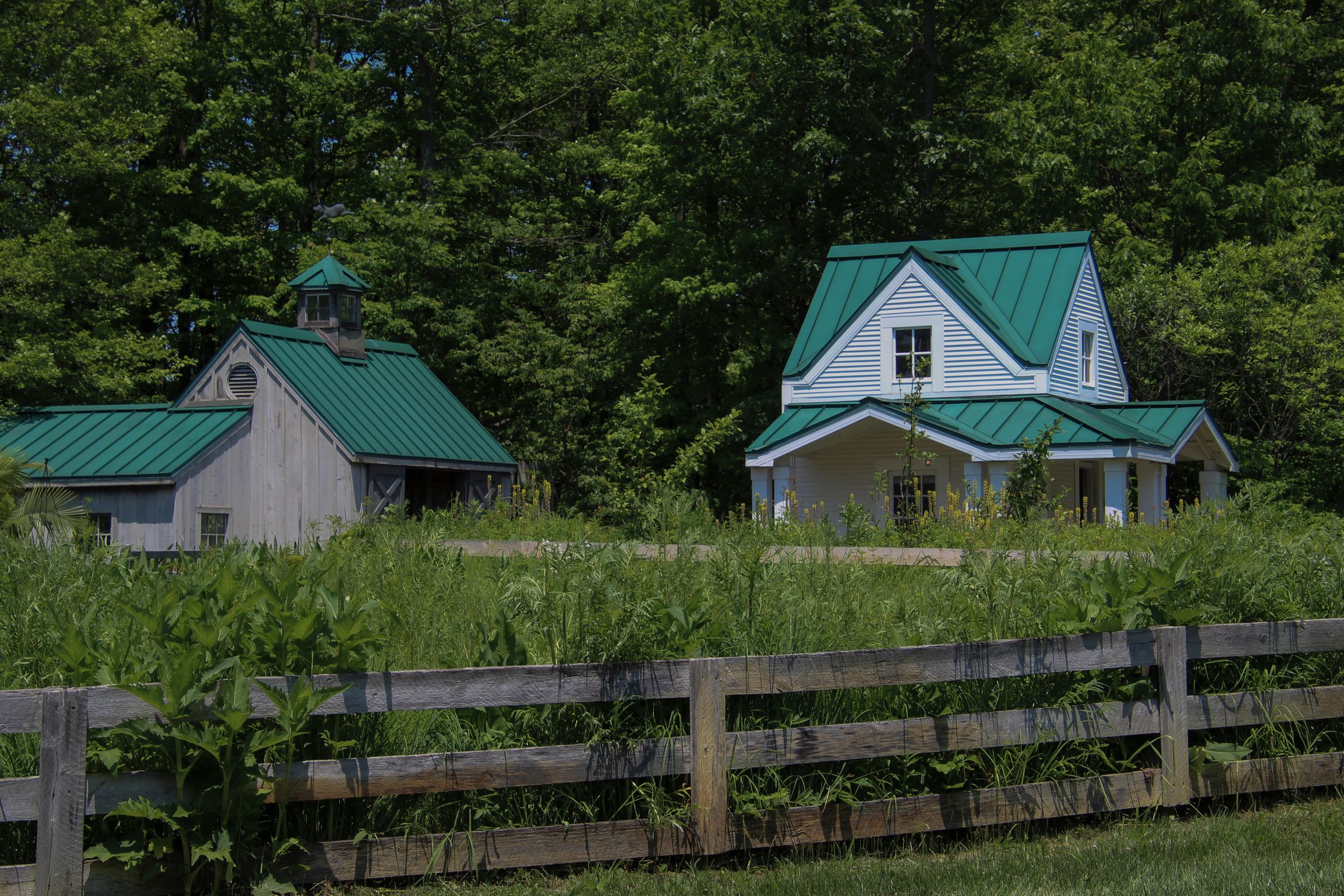 Rural property with green roofs surrounded by lush greenery