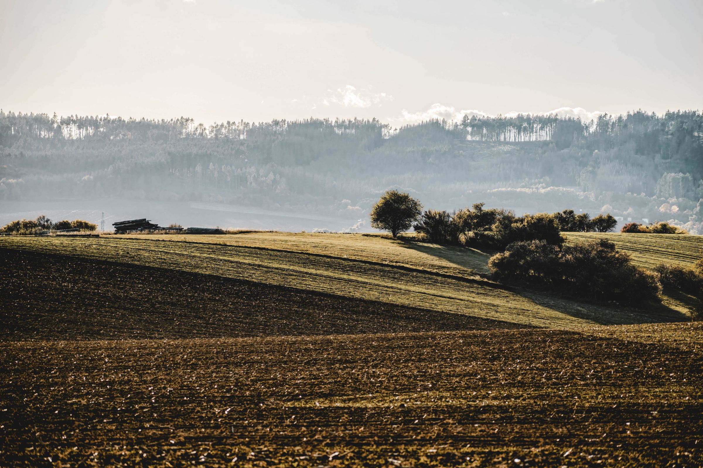 Rolling green hills under a clear sky